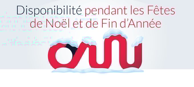 Disponibilité pendant les Fêtes de Noël et de Fin d’Année