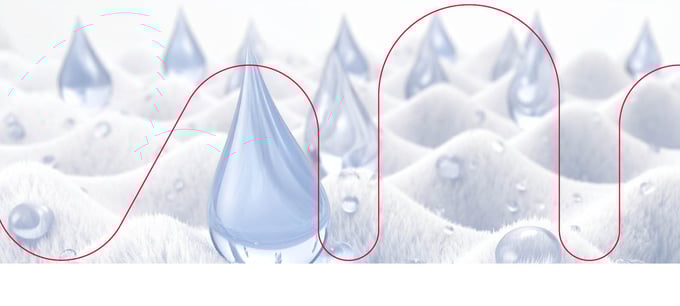 Pourquoi la gestion de l’humidité est essentielle aux procédés en bande